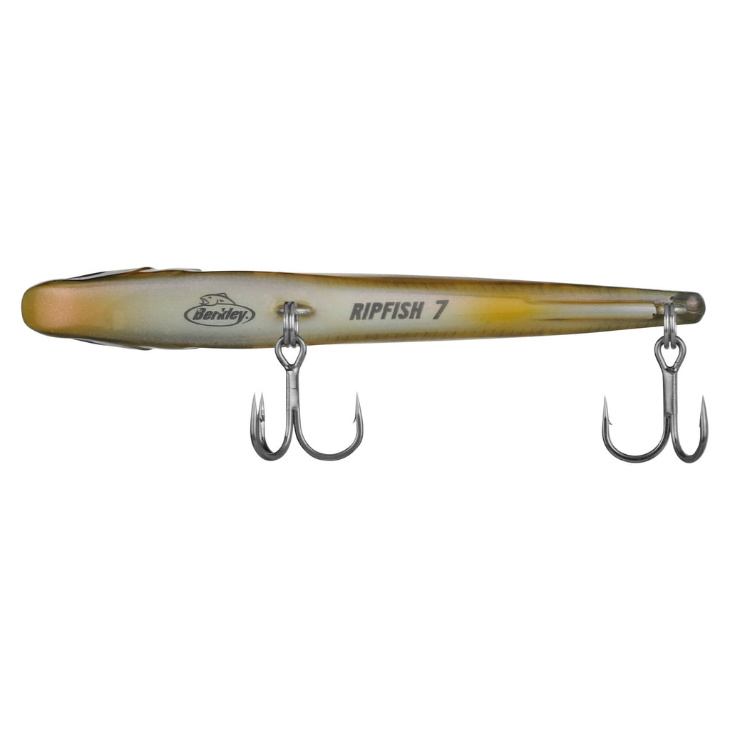 Berkley Ripfish