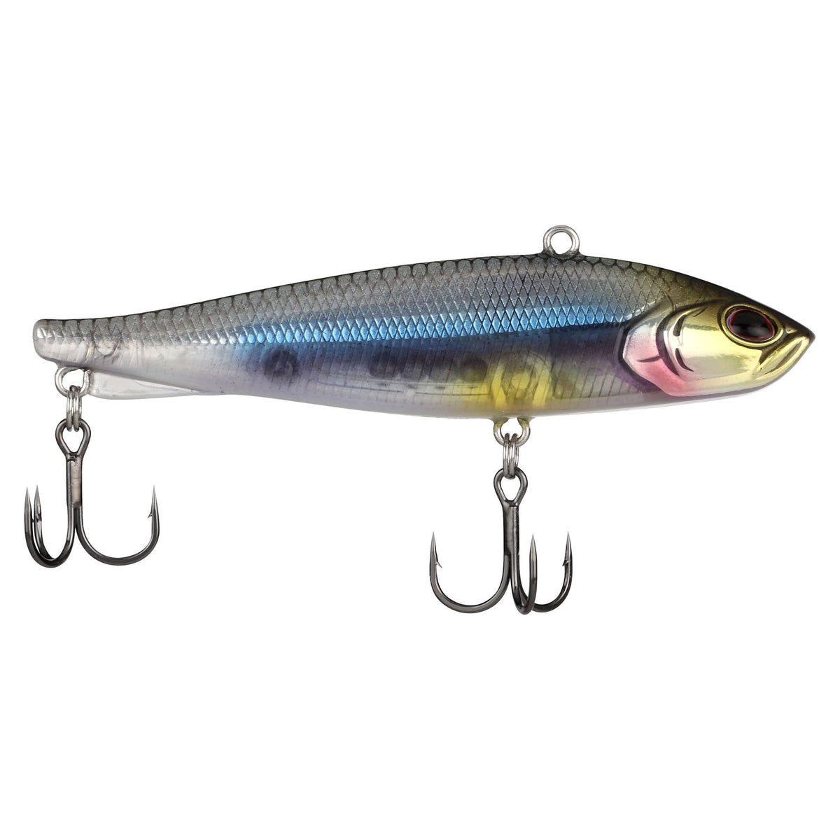 Berkley Ripfish