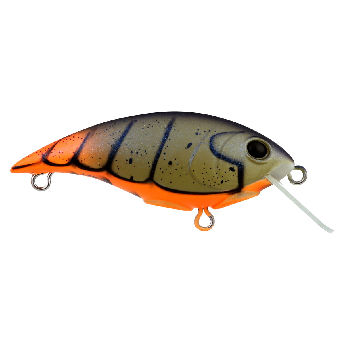 Berkley Shallow Money Badger