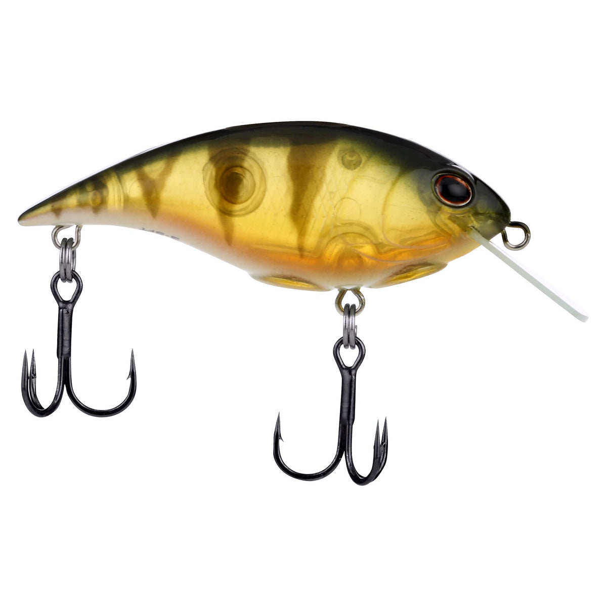 Berkley Shallow Money Badger
