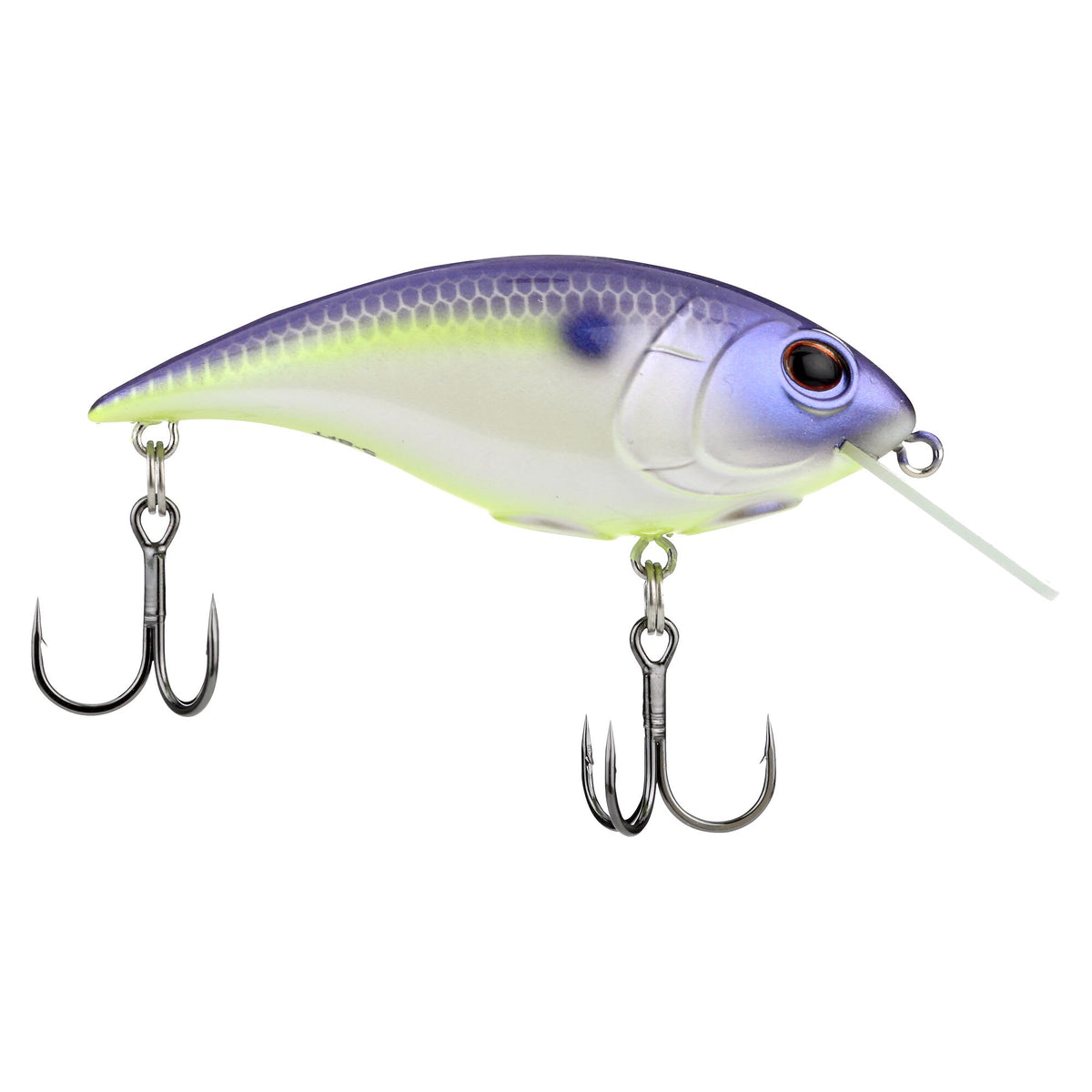 Berkley Shallow Money Badger