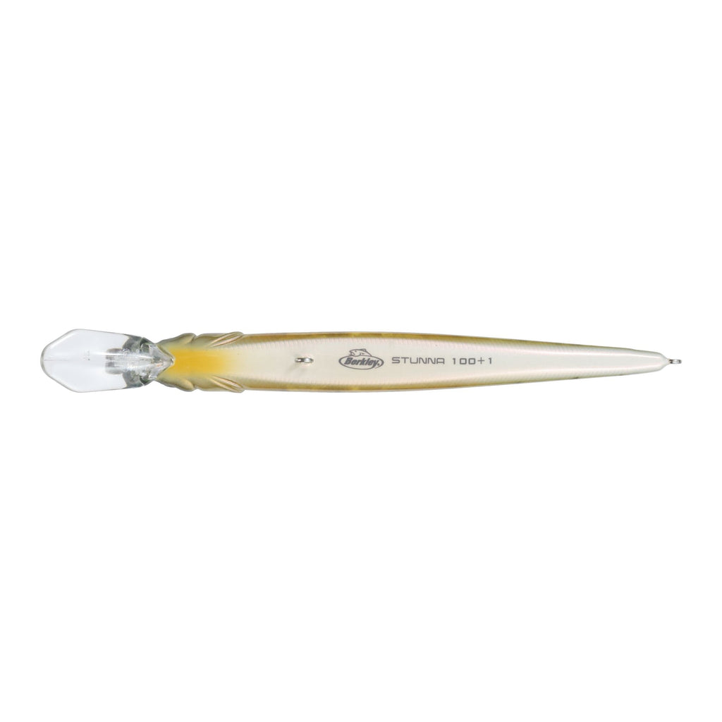 Berkley Stunna